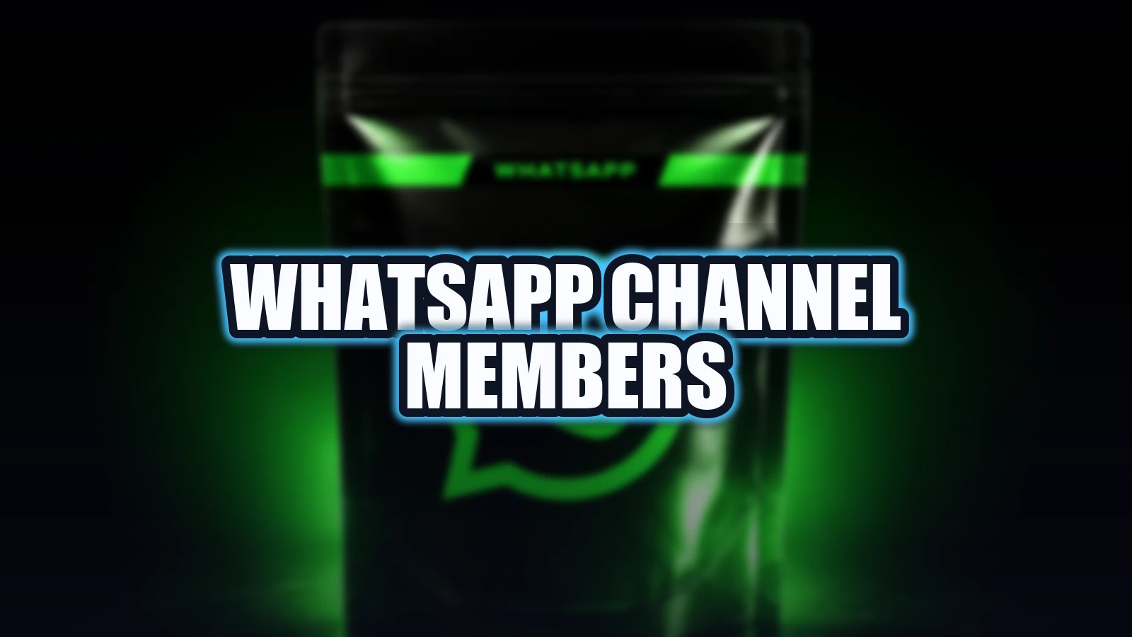 WhatsApp Channel Members